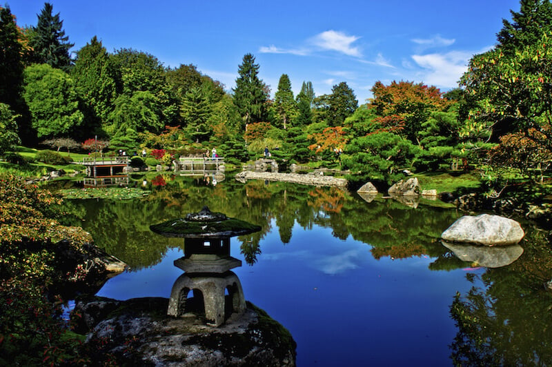 这张照片显示了从一个大池塘对面的这个日本花园的巨大带状。树木密集地生长在这个大的例子中。
