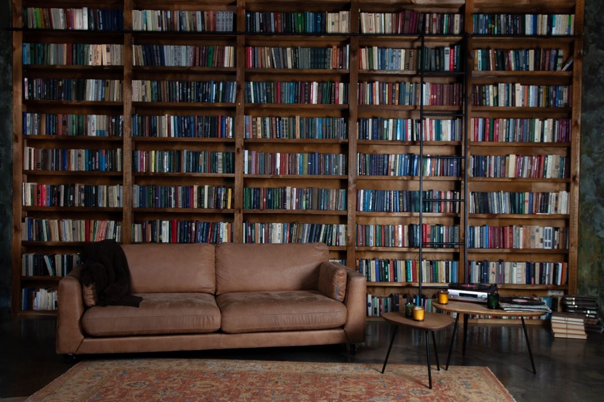 华丽舒适的家庭图书馆与阅读沙发