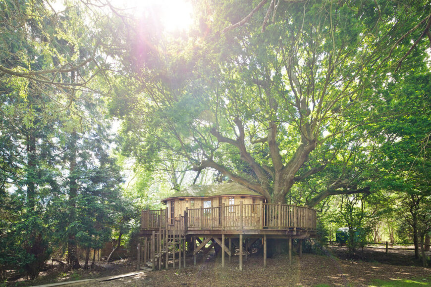 树屋的外观展示了橡树的真实高度和宽度，阳光斑驳在树屋的顶部。