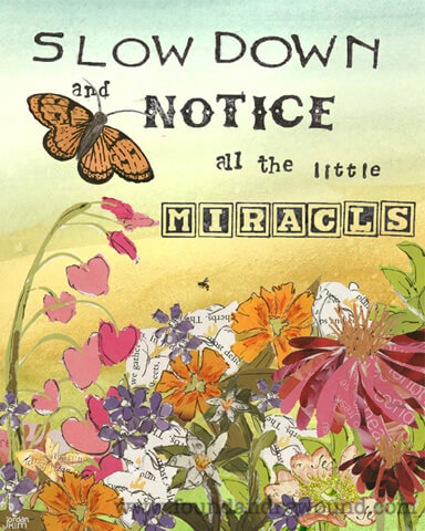 Jordan Kim的励志艺术与Rewound的乔丹·金（Jordan Kim）撰写的《蝴蝶和鲜花》的拼贴画：“放慢脚步并注意所有小奇迹”