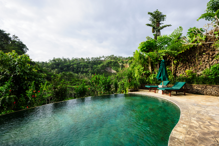 度假村的弧形无边泳池坐落在山边，边上有高大的花丛。角落里有一个石头露台，里面有绿色的躺椅和雨伞。