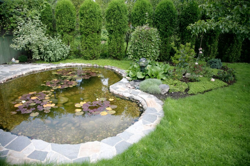 后院有一个大池塘，边缘是石板，与露台相连。一个弯曲的景观连接到池塘的倾斜处。