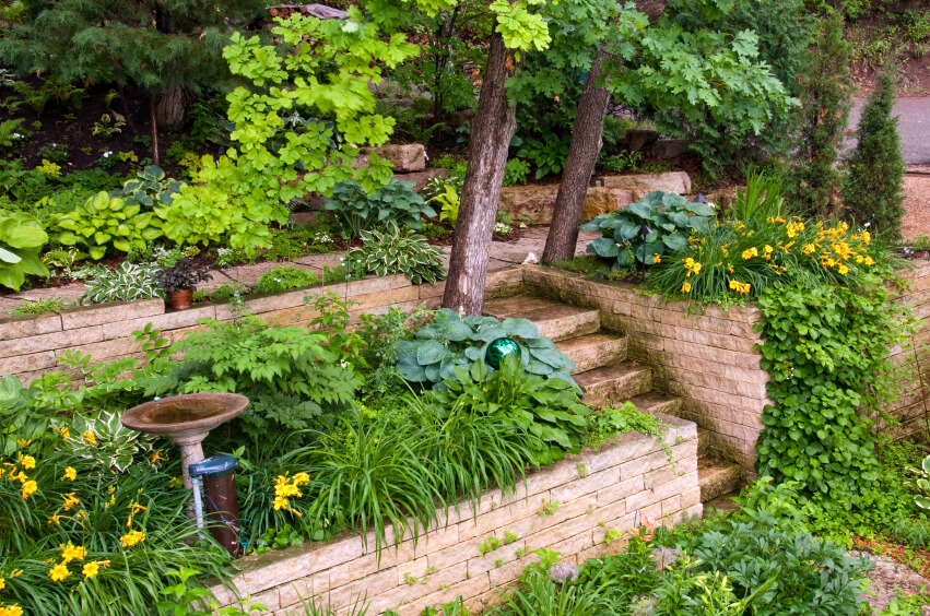 郁郁葱葱的景观，有一个小水盆，镜子，和均匀堆叠的石头。一组小楼梯通往顶层露台上的一条小路。
