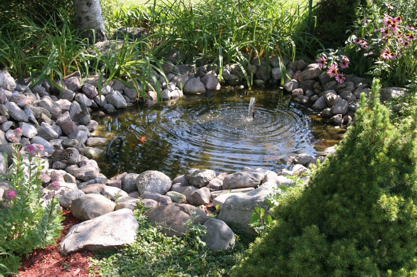 一个稍微深一点的小池塘，有一个喷泉，从水的中心产生涟漪。圆形的石头堆在边缘，形成了一个银行。草地植物和耐寒的雏菊花被融入池塘周围的景观中。
