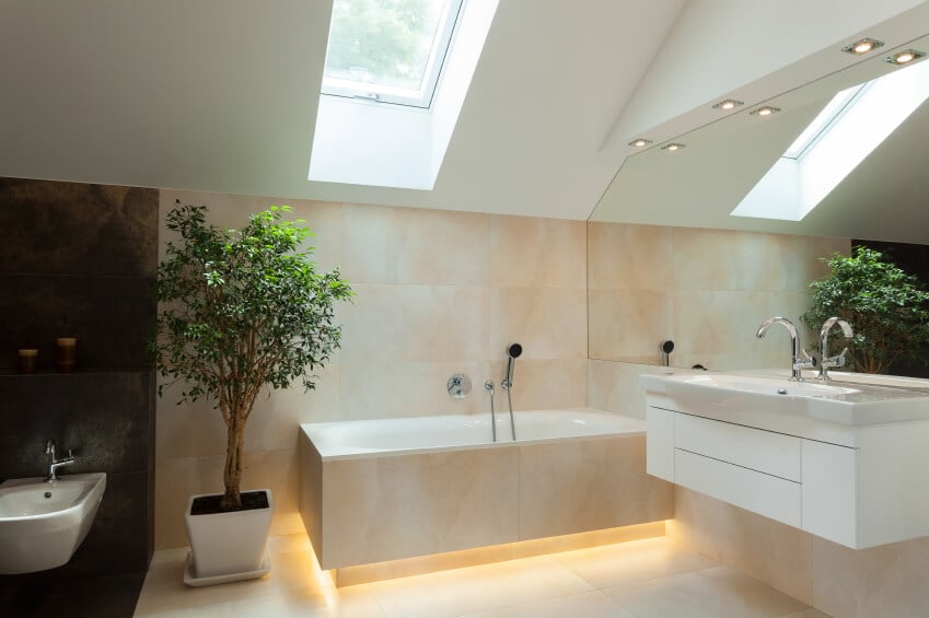 一个凉爽、现代的浴室，有一个较暗的部分。在这两部分之间是一棵枝繁叶茂的大树。浴缸边缘下的照明是一个很好的细节。