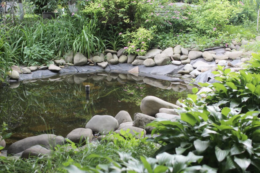 一个简单的花园池塘，中间有一个喷泉。简单的衬垫由大石头牢牢地固定住。池塘四周是茂密的草和灌木。