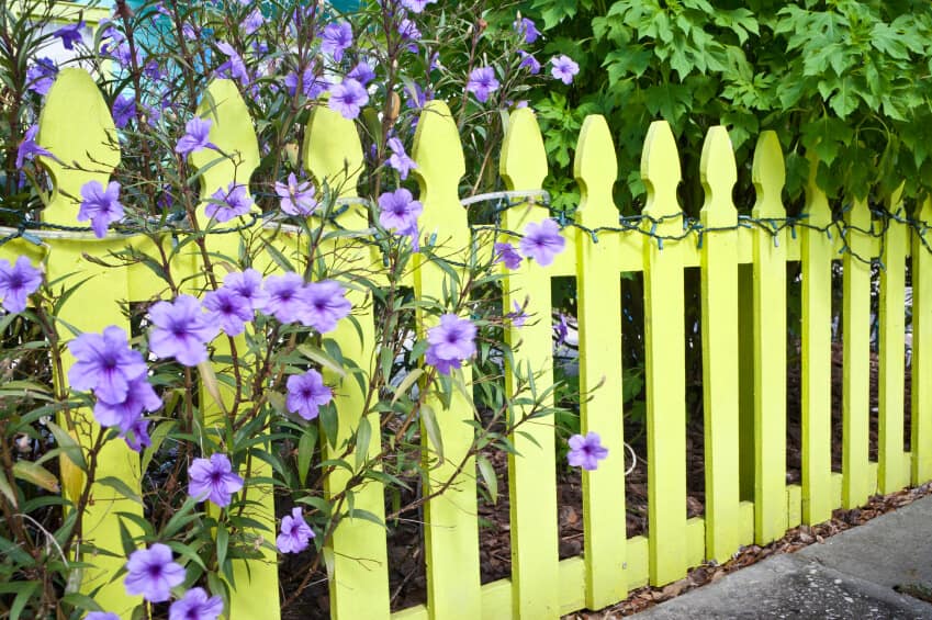 一个淡黄色的栅栏，里面有树和淡紫色的花。围在栅栏顶端的是冰柱灯和灯管灯。