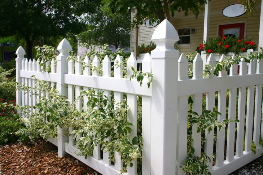 一间小屋前的乙烯白色尖桩栅栏，上面有白色边缘的树叶和木屑床上用品。
