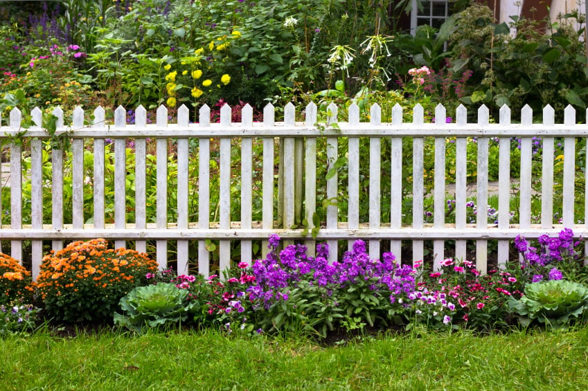 白色木桩栅栏:将花园分成两部分的白色木桩栅栏