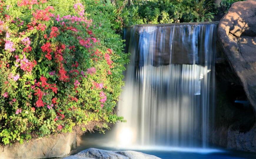 一个不断的瀑布瀑布落在人造石“桥梁的两侧稳定的纸上。开花灌木丛在池上厚重的质量增长。