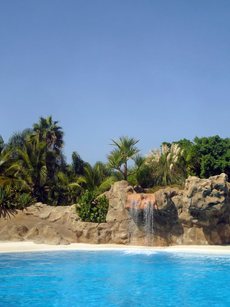 一个小瀑布流入水池。水池的两侧看起来像一个岩石海滩，人造石头后面有一片茂密的棕榈树林。