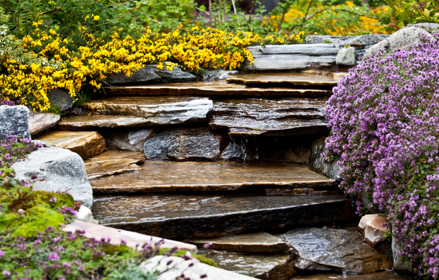 花园的瀑布被紫色和黄色的美丽多彩的花朵包围着。这个蜿蜒的石头瀑布的形状就像一系列的台阶。