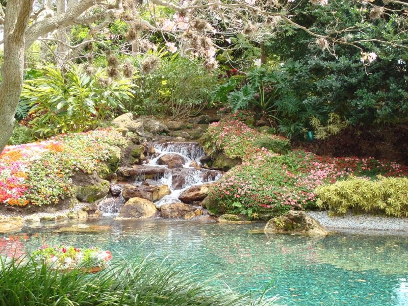 花卉地毯围绕着这个美丽的瀑布，它通向一个水晶蓝色的池塘。