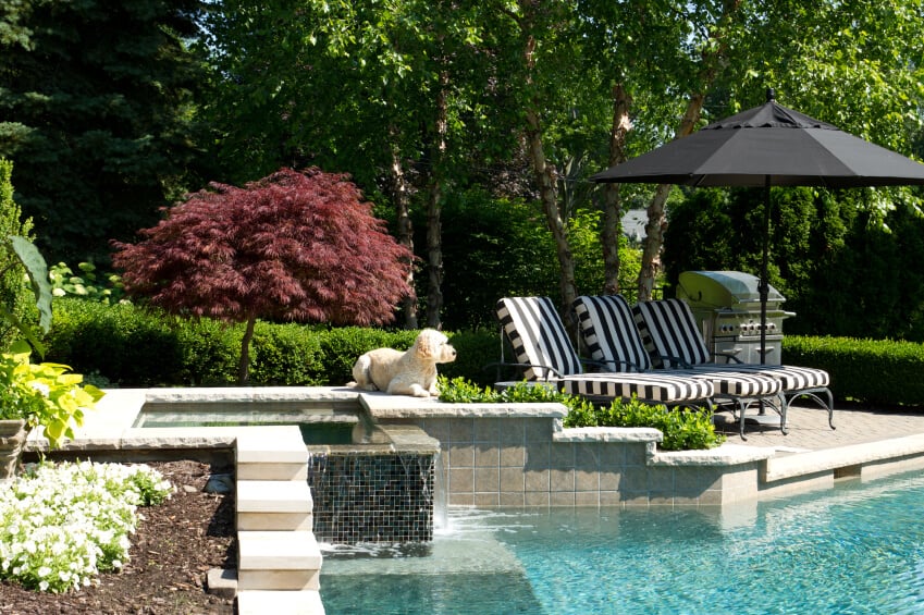 一个游泳池，当代瀑布在石材和玻璃马赛克瓷砖的拐角处，园景旁边的树篱附近。右边是躺椅和烤架。
