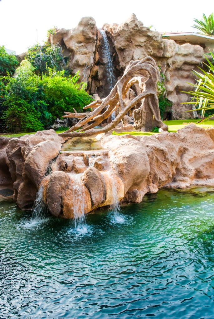 度假村的游泳池，人工岩石露面，带着假树和水从“溪流”中滴下大部分地面的水。