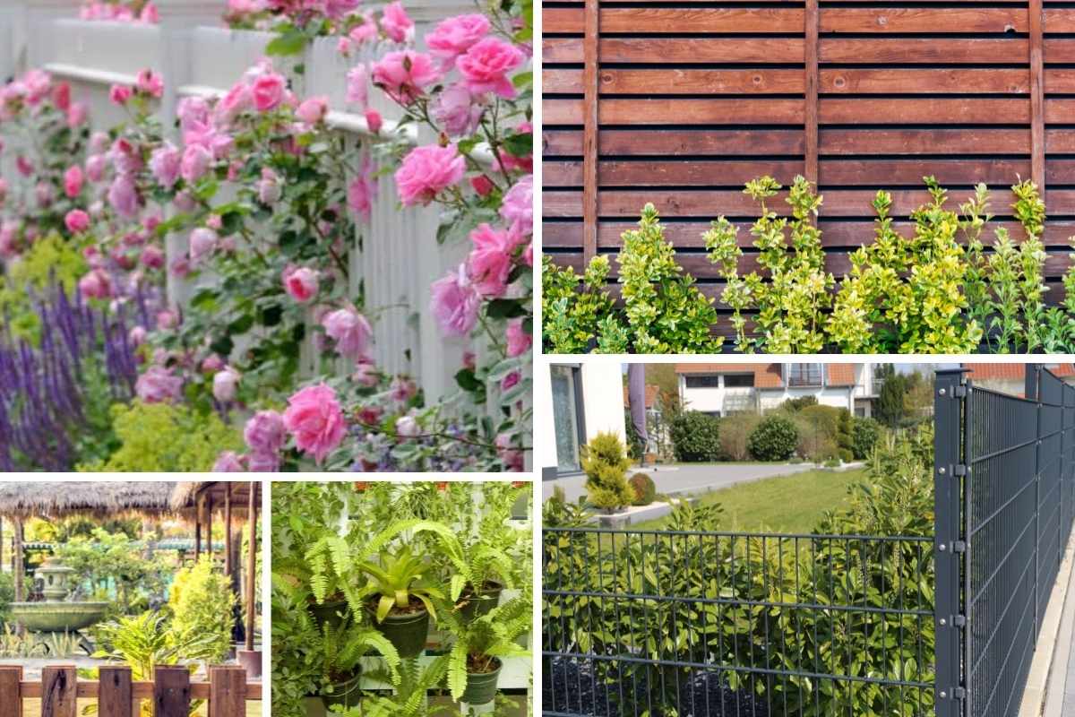 照片拼贴不同的花园围栏。