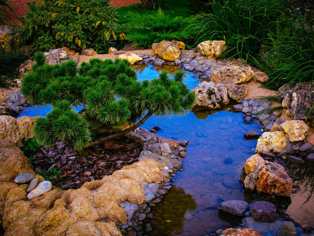 几乎在日落时分，这个浅池塘被多孔的岩石包围，颜色丰富，有一个小的常绿植物，是一个安静的夜晚呼吸的好地方。