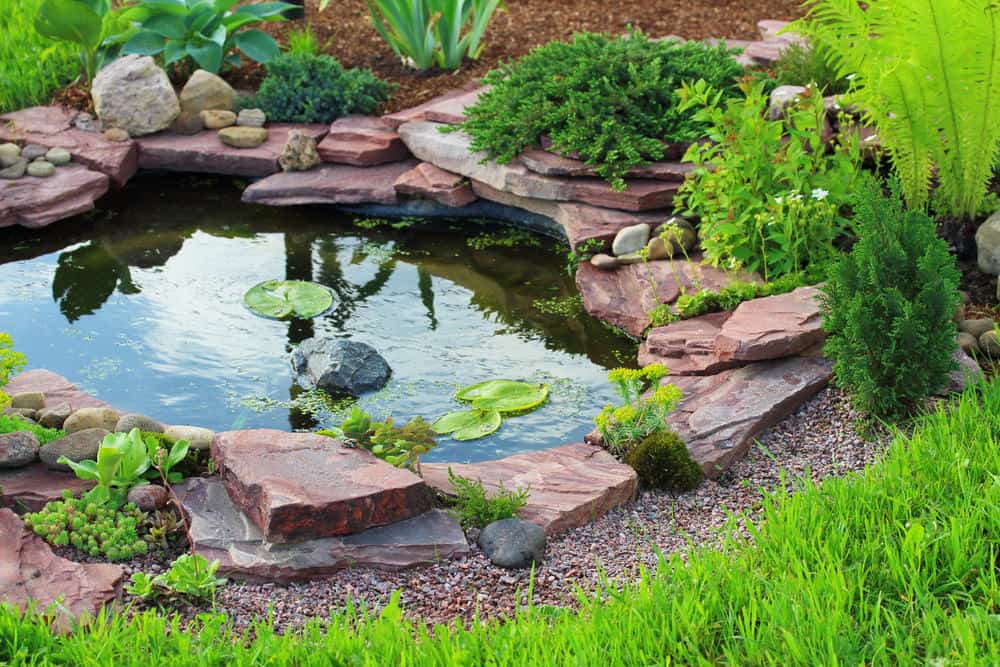 一个由红色石板堆砌而成的小池塘，周围环绕着茂密的植被:对于那些想要远离日常工作的人来说，这是一个完美的放松场所。