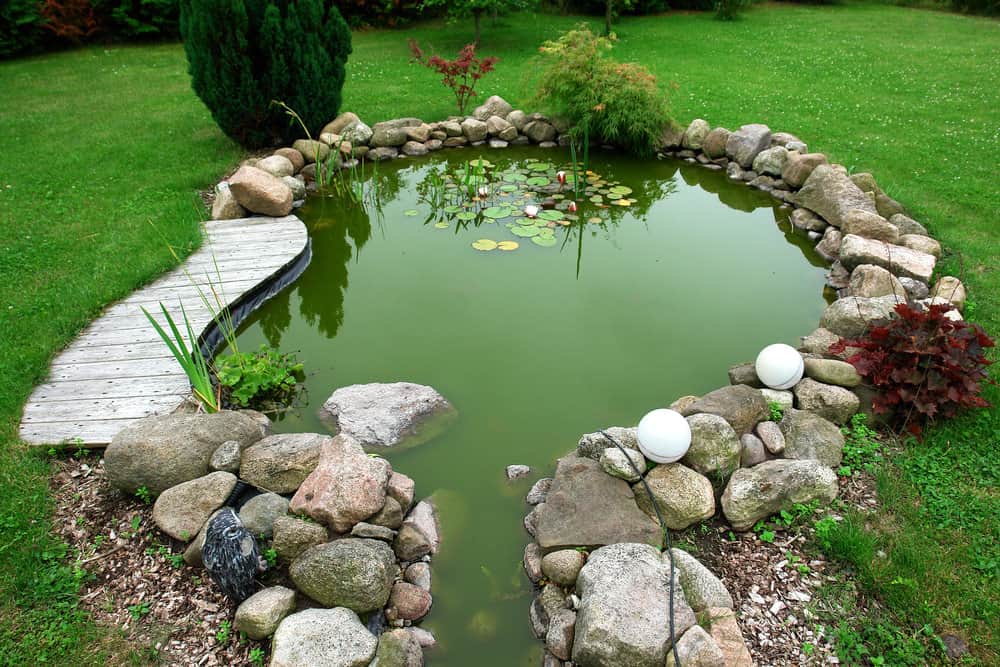 后院的小池塘周围是凹凸不平的岩石，是孩子们玩耍的好地方。虽然小，但很漂亮!