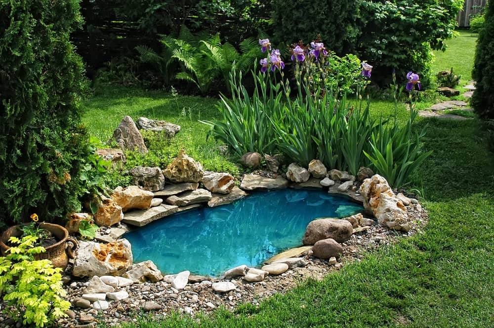 一个被装饰性的石头和花盆包围的小池塘。