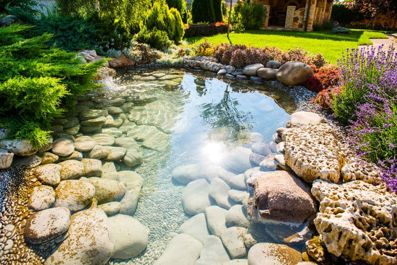 清澈的水和美丽的岩石使这个花园池塘成为家庭聚会的理想场所，孩子们可以在这里寻找岩石，玩得很开心。