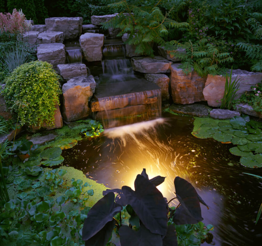 在这里我们可以看到美丽的池塘在同一个花园。柔和的光芒照亮了从石头瀑布流出的水。