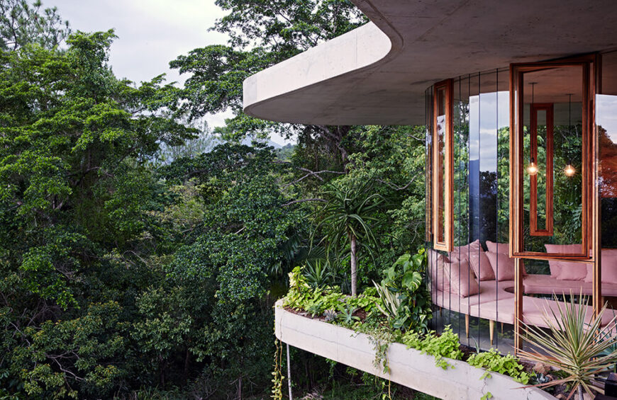 这座现代住宅的弧形结构充满了绿色植物，俯瞰着雨林。