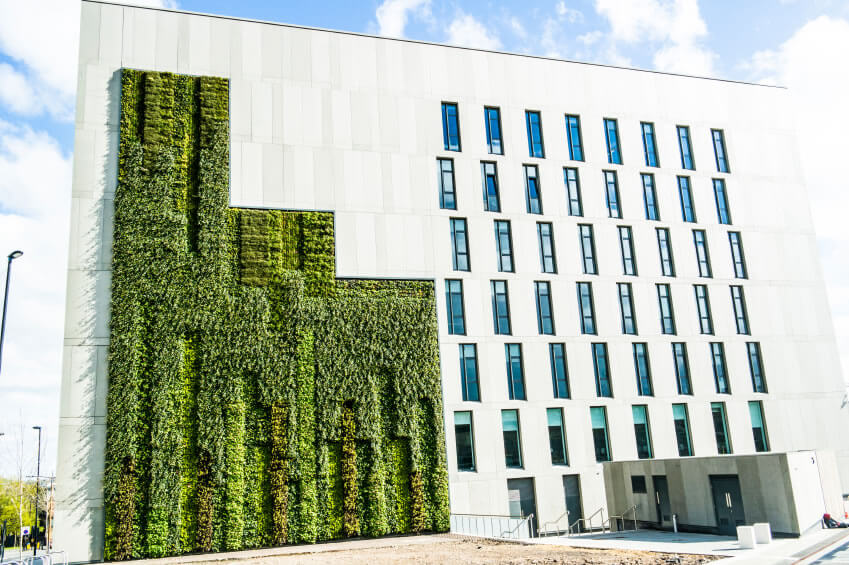 绿墙是一种将自然美与艺术目的相结合的经济高效的方式。即使只是用植被覆盖一小块墙，也能提供足够的覆盖物，帮助建筑免受极端高温或寒冷的影响。