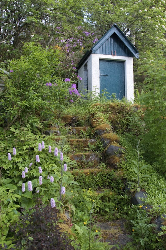 这些苔藓覆盖的杂草丛生的台阶通向山顶的花园小屋。