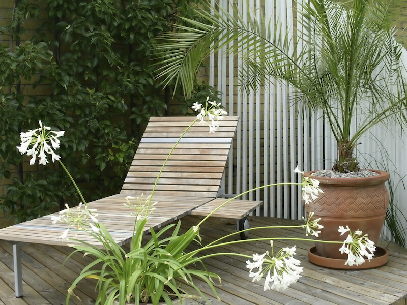 即使是一个小得多的盆栽棕榈树也能真正帮助人们调节情绪。这把简单的木制躺椅给人一种热带度假胜地的感觉。