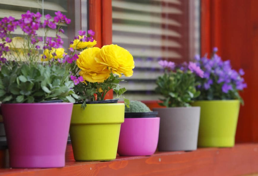 如果你喜欢更简单的方法，一些陶瓷的，色彩鲜艳的花盆可能是合适的。
