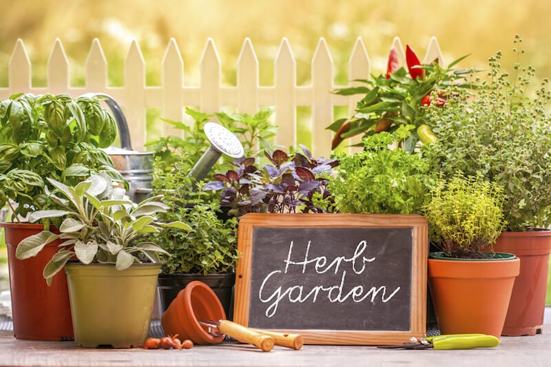 改变颜色和材料。Herb Gardens在集装箱花园中特别好，因为它很容易让不同的草药分开。