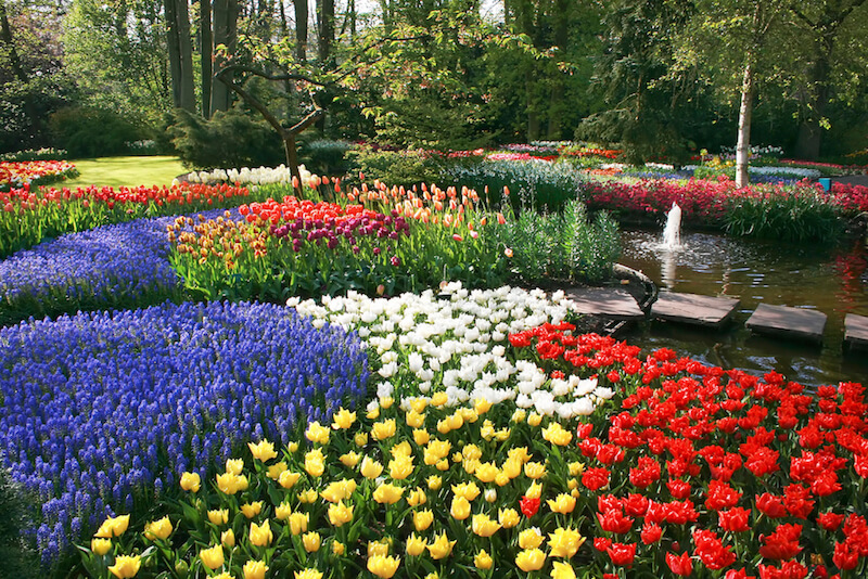 这座可爱的花园里有几十种颜色的花，它们慢慢地融合在一起，形成了一种被状的精致花朵图案。