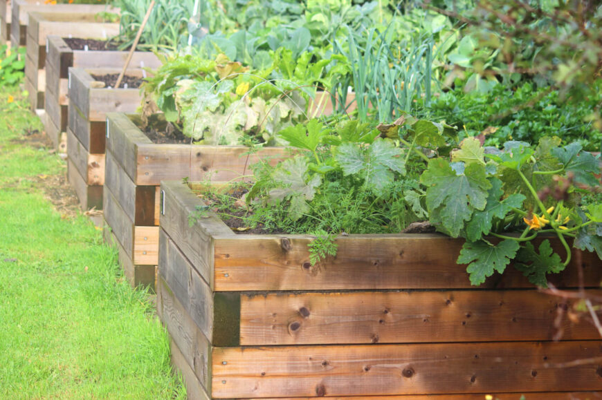 这里有一系列短小而吸引人的简单的天然木制花园床，里面种满了蔬菜。