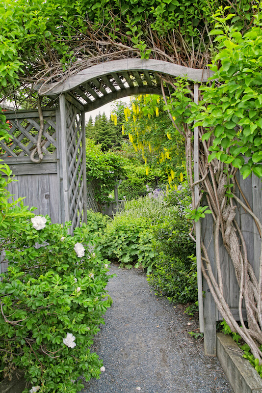 一个木制杆弯曲顶部和附加到一个高大与晶格详细隐私围栏。这作为一个进入花园栅栏。