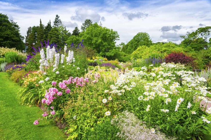 大花园是伟大的过渡到你的庭院景观。如果你的房子在树林边缘，你的大花园可以作为树木和草坪之间的缓冲区。