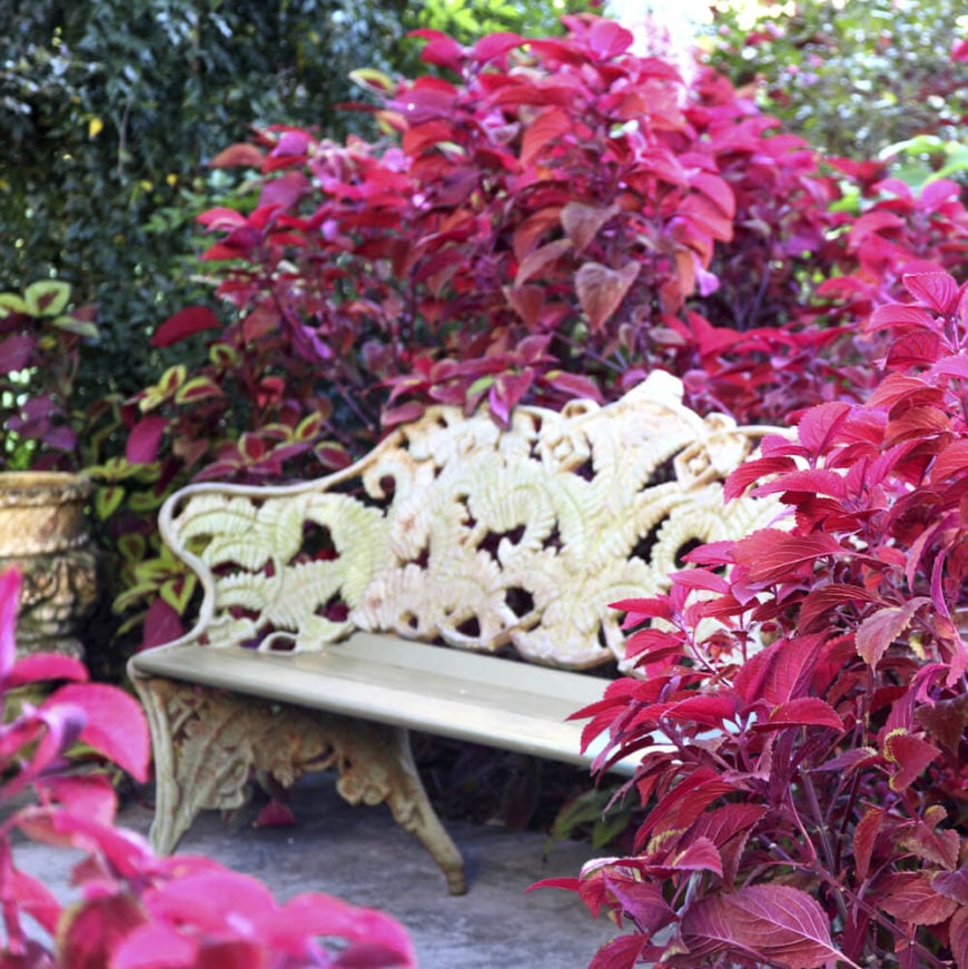 一些长凳有着复杂而细致的设计元素。这条长凳有详细的叶子和花朵图案，是对郁郁葱葱的花园的一个惊人的赞美。这条长凳被放置在一个充满活力的花园中。