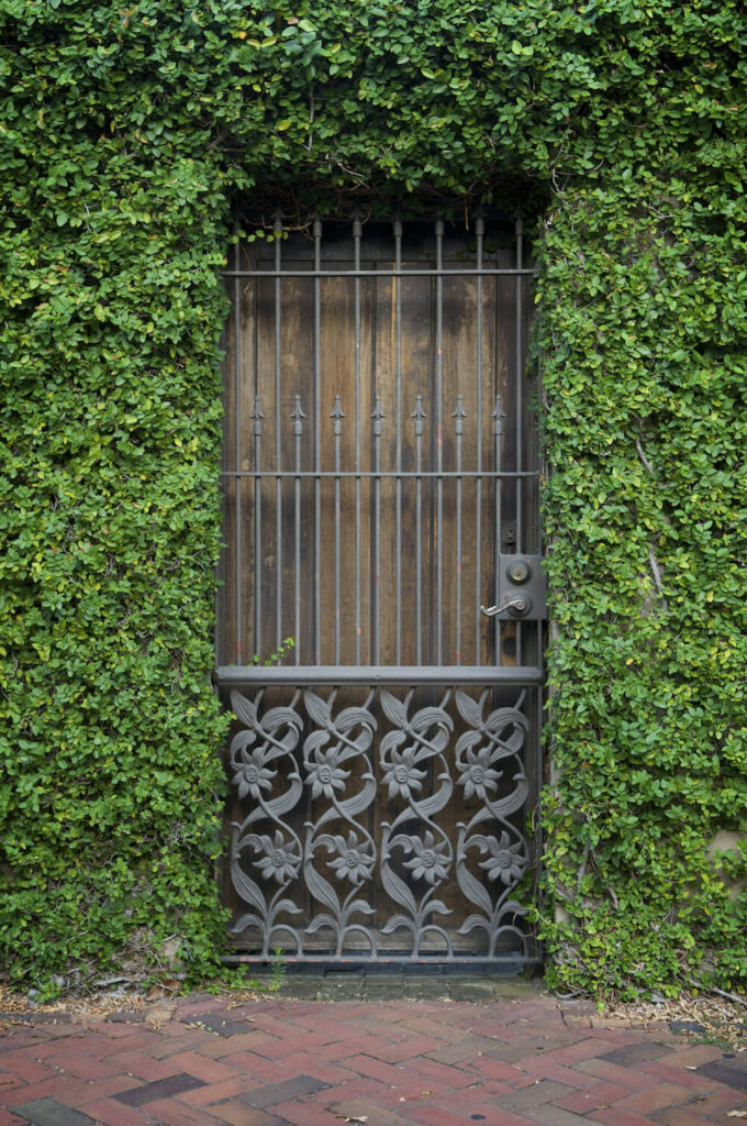 当你让藤蔓完全吞噬你的外墙时，门口似乎通向一个由灌木建造的建筑。那扇门后面会有什么神秘事件呢?这是一种神奇的美学，既吸引人又耐人寻味。