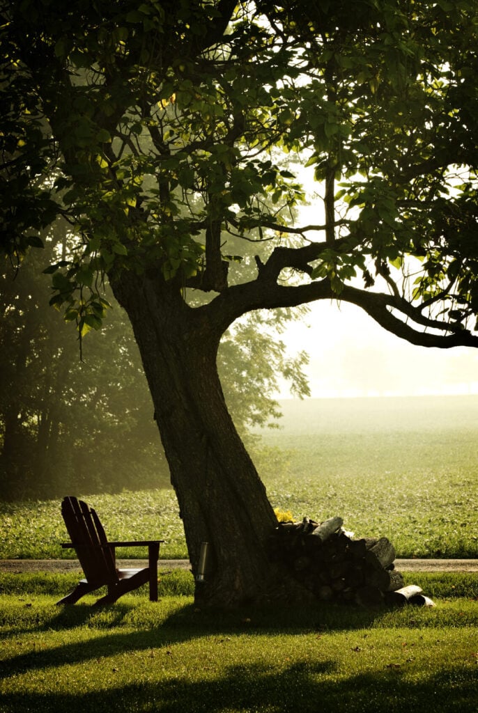 没有什么比看日落更让人放松的了。把你的阿迪朗达克椅子放在你的老橡树旁，享受又一天的时光，在朦胧的山丘上度过。