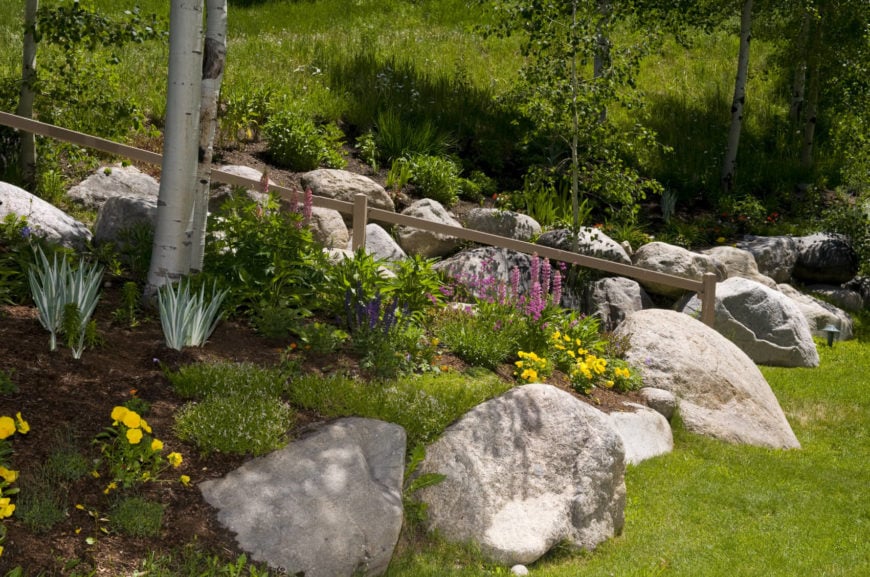 岩石花园是完美的小径和人行道。大石头可以让人们保持在轨道上，远离你不想让他们去的地方。它们作为装饰性的障碍，可以保护你的植物安全。这是一个更自然的外观和不明显的障碍比栅栏。