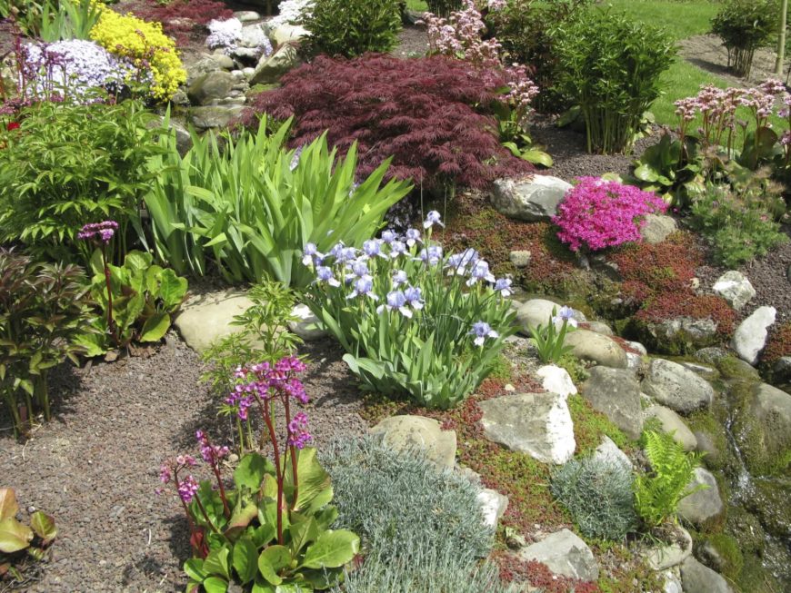 如果你的花园里有灌木丛或更高的植物，石头仍然可以作为花园的绝佳底座;尤其是在斜坡上，石头可以给你的花园带来山的感觉。