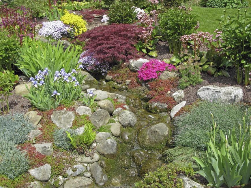 你可以用石头衬里引导水穿过你的花园。这会让你的花园看起来像一个狂野的河床。