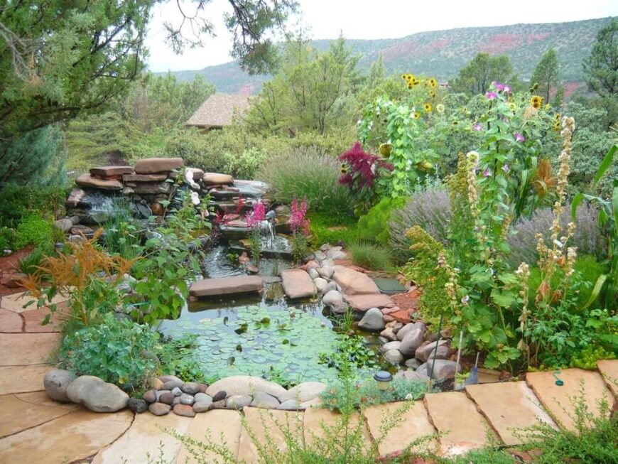 有一些多年生植物很好地与池塘和其他水景搭配。薰衣草和睡莲是池塘边花园的佳品。