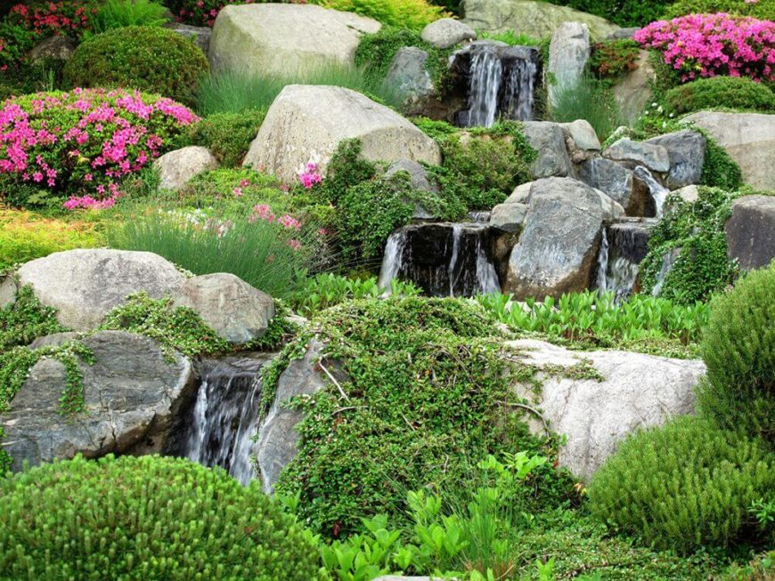 水景与野生苔藓和藤蔓一起，使岩石花园有一种令人惊叹的自然感觉。让这些岩石无人看管，你就有机会培养出这样的吸引力。