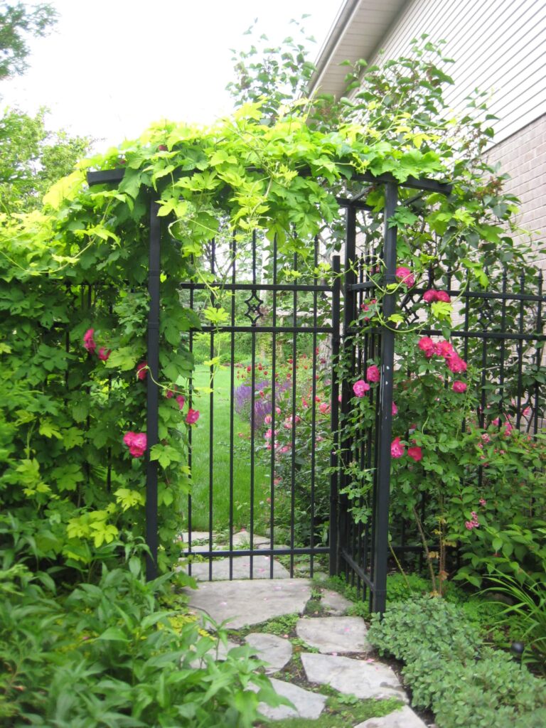 这扇铁门和栅栏上装饰着一排可爱的花和藤蔓。在所有与蔓生植物搭配得很好的人造建筑中，铁条有一种特殊的吸引力。