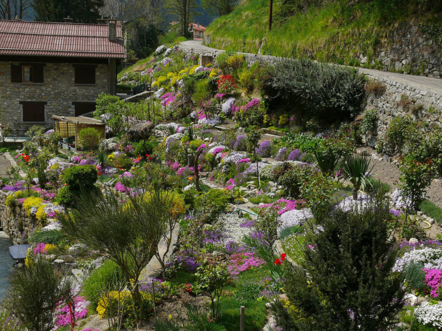 后院岩石花园的想法- Flickr
