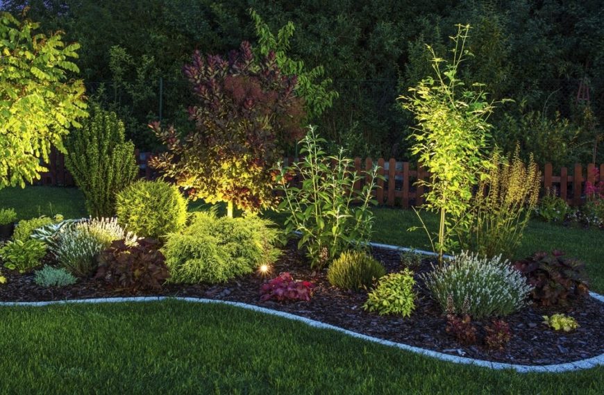 如果你想让你的花园在晚上照明良好，你可以在花园里安装良好的照明设备。良好的照明从下面突出你的植物，给你的花园一个漂亮的发光质量。