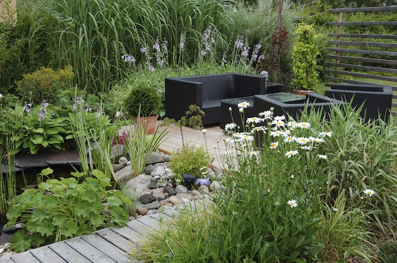 这个梦幻般的池塘花园将野生沼泽的品质引入后院。你可以在你的院子里用合适的植物组合来重建不同的生态系统。