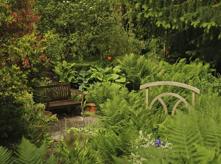 在花园里的植物中间有一张木凳。这条木凳与周围环境完美地融合在一起。它的颜色和简单的线条让这条长凳感觉就像这片风景的自然组成部分。