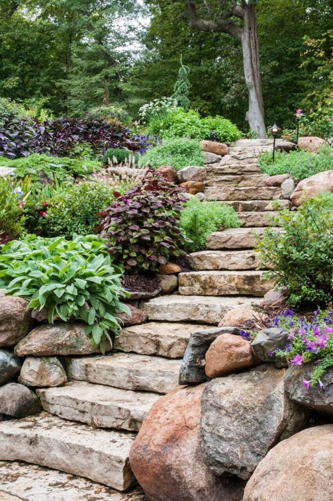 如果你有一个石头走道或台阶，你可以考虑让你的一些多年生灌木和野花在这些地区生长。它有助于增加该地区的乡村和自然主义吸引力。